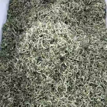 粗茶茶叶产地云南普洱