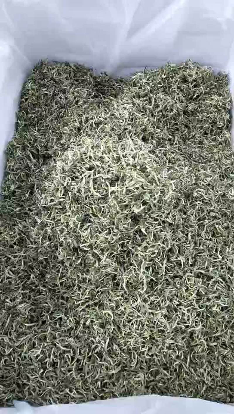 粗茶茶叶产地云南普洱