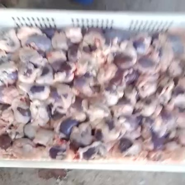 羊腰新鲜