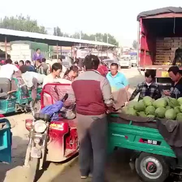 西周密25号