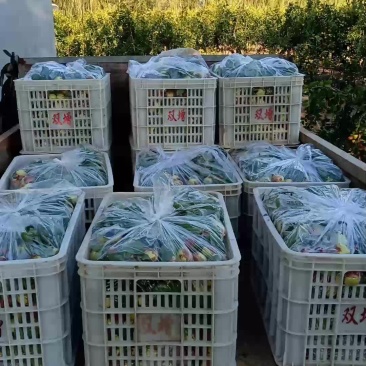 地里监控质量