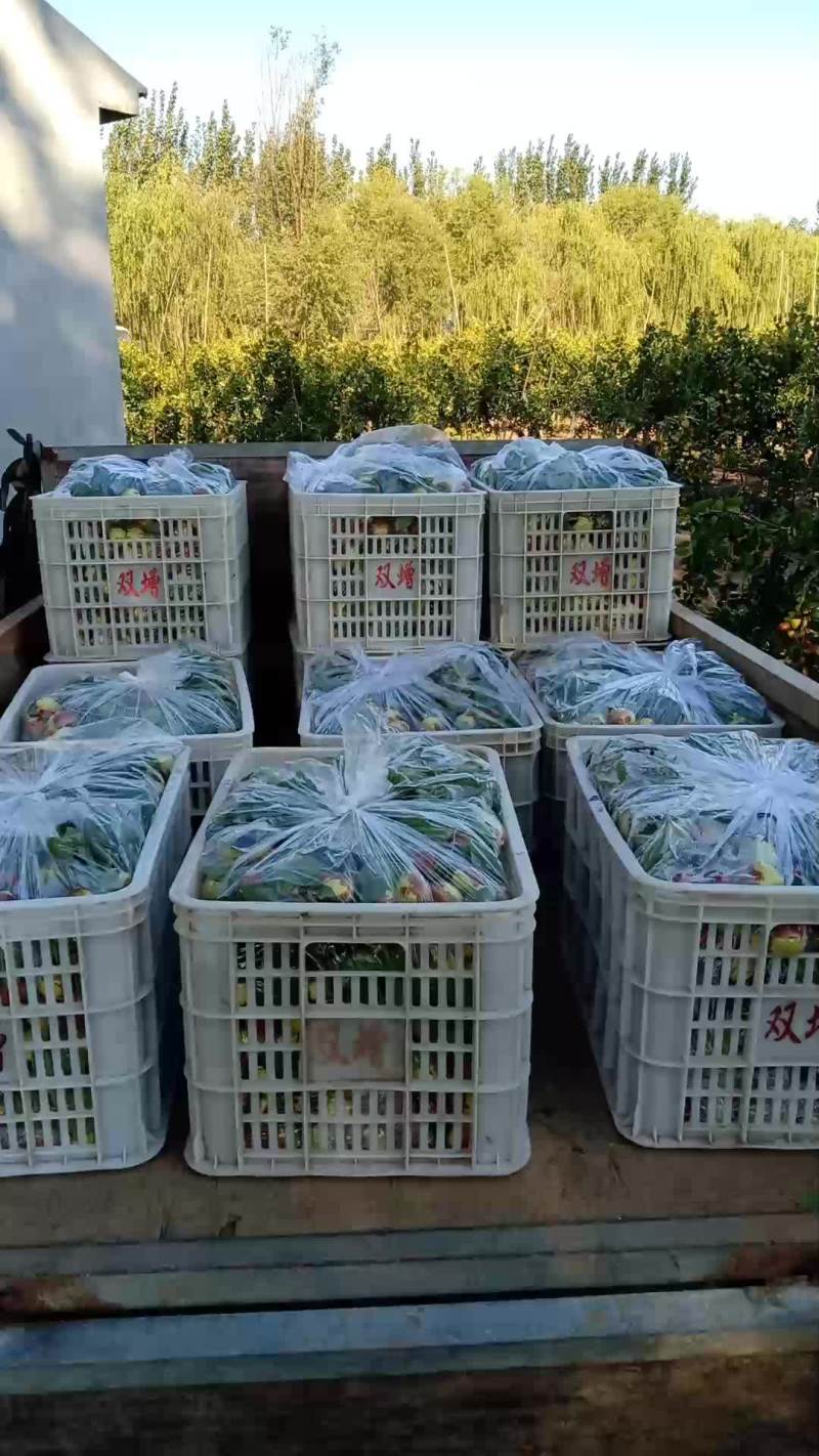 地里监控质量