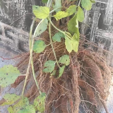 有需要请联系我