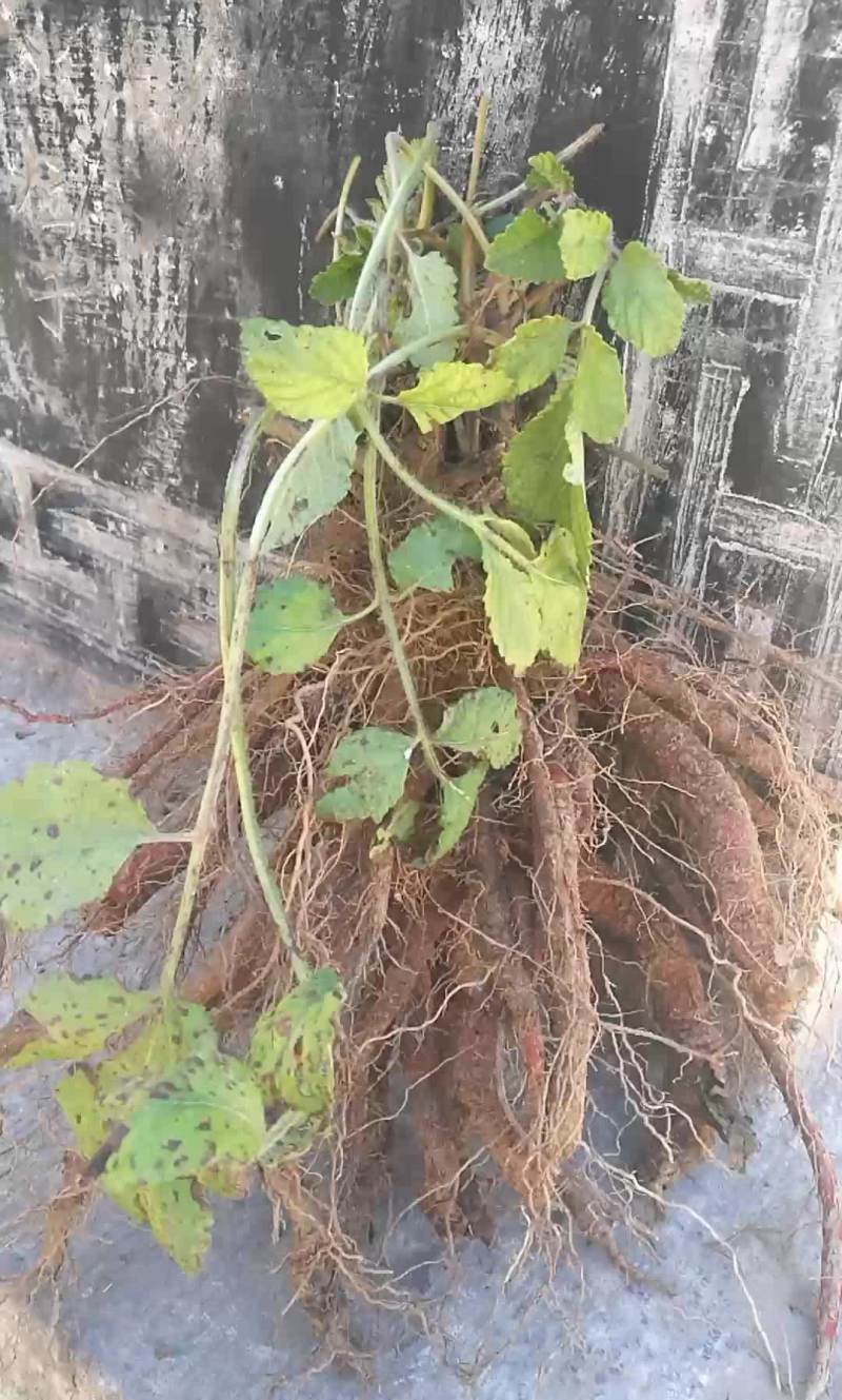 有需要请联系我