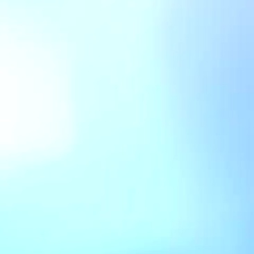 甘蓝