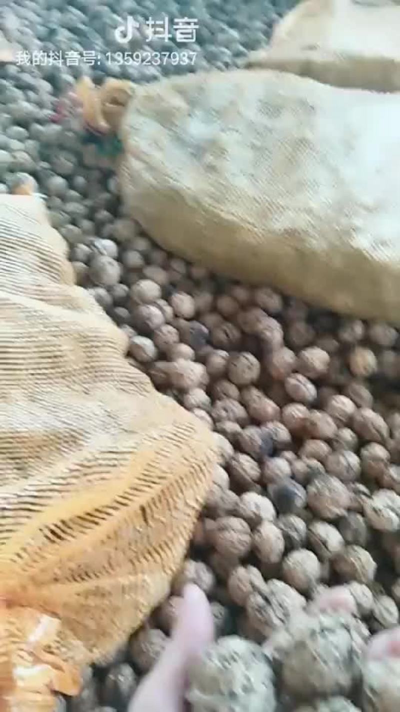 核桃