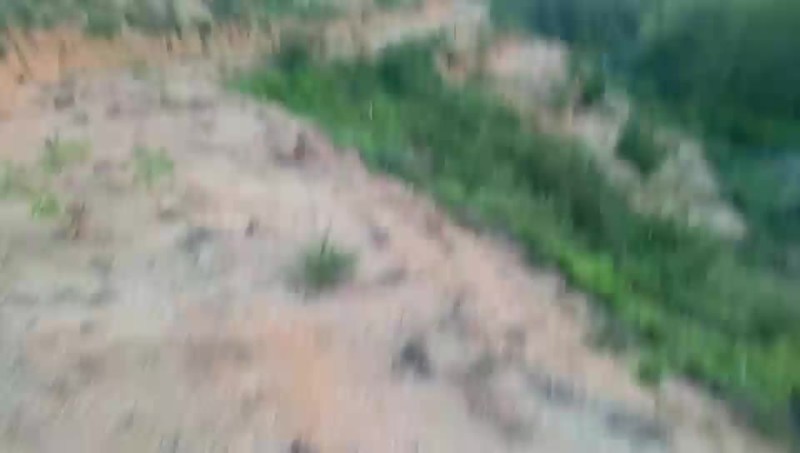 山地出租，流转