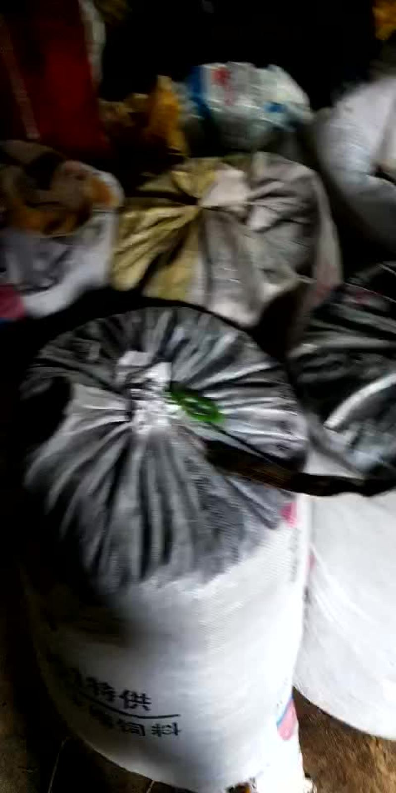 山桃仁通货