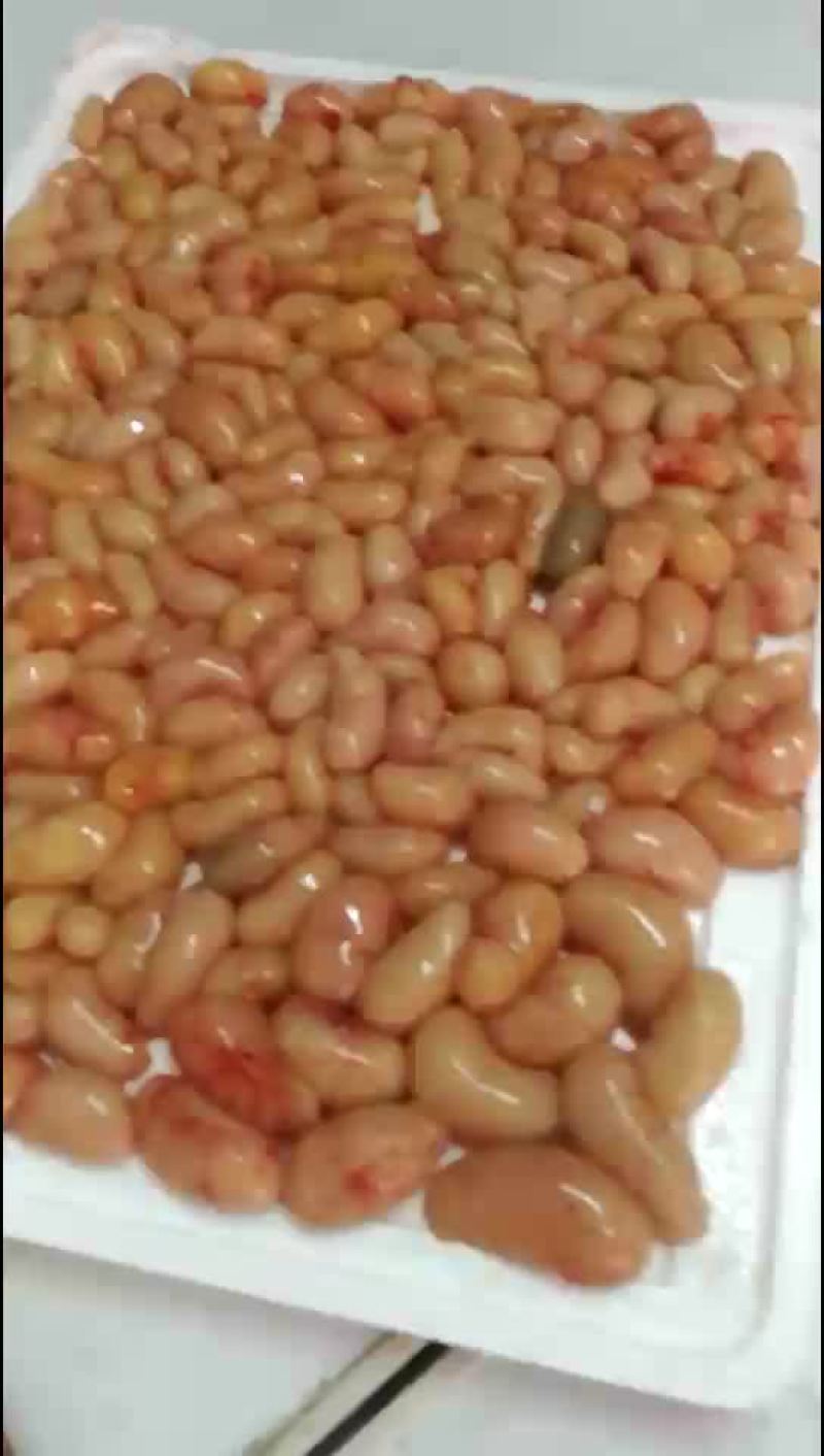 鸡子，鸡腰子，鸡卵子