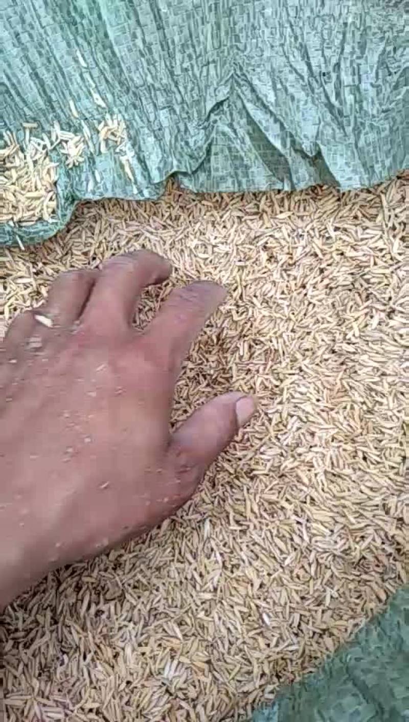 厂家直销稻壳