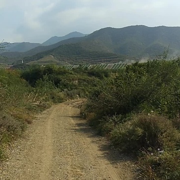 土地出租
