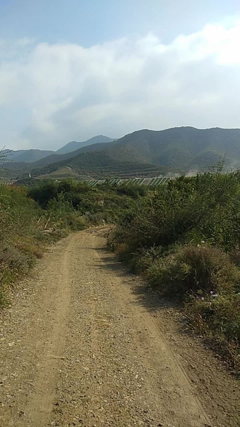 土地出租