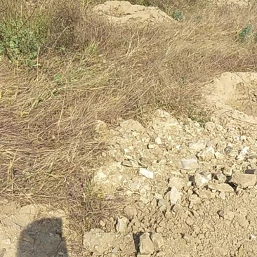 宅基地出租，