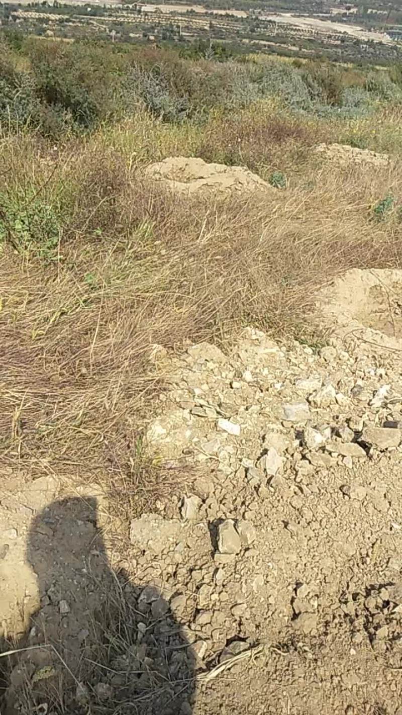 宅基地出租，
