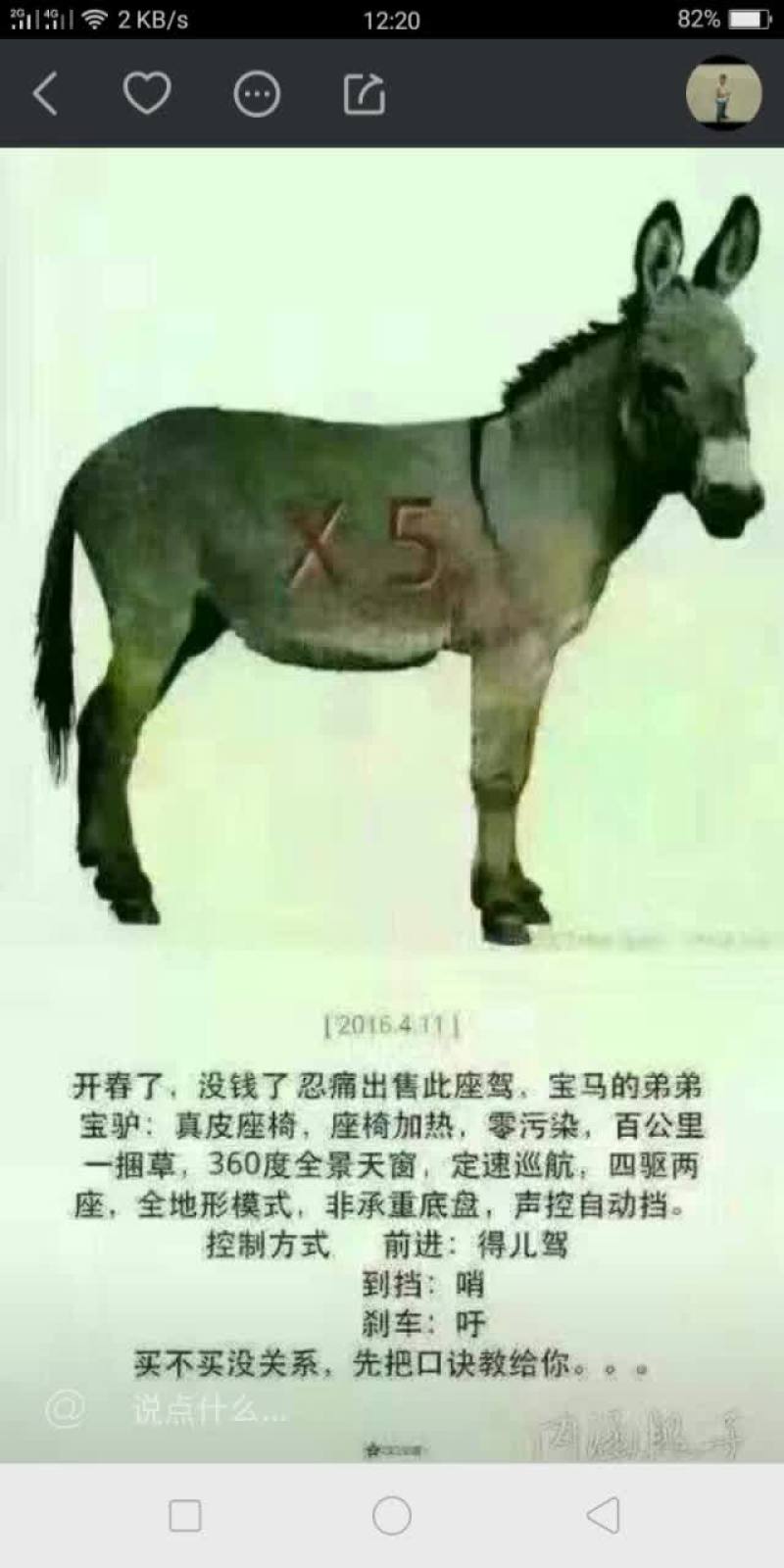 驴肉