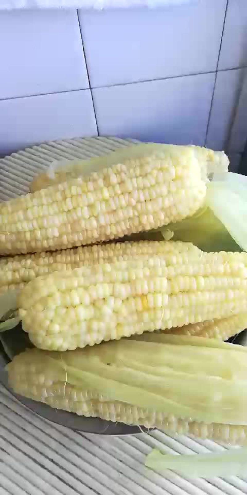 东北晚苞米。青苞米