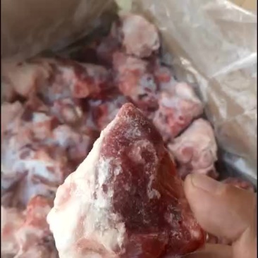 羊窝骨