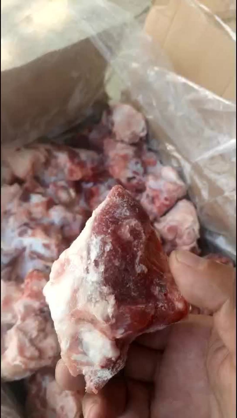 羊窝骨