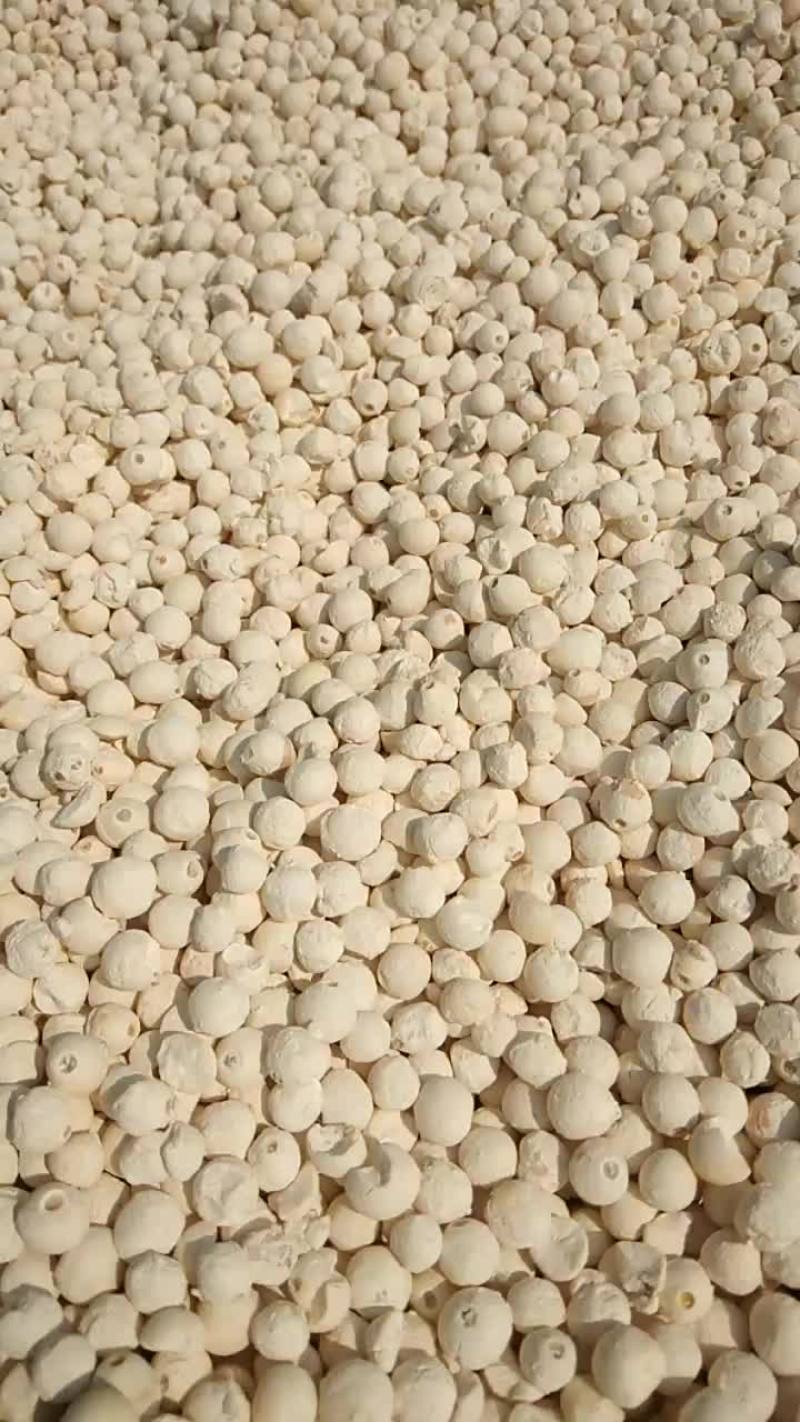 安徽芜湖无为市芡实杆 58.00元/斤芡实干米