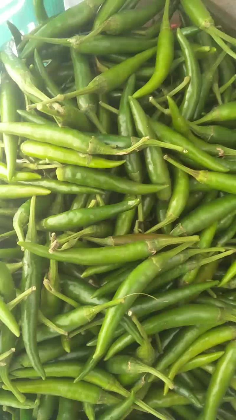 鲜辣椒