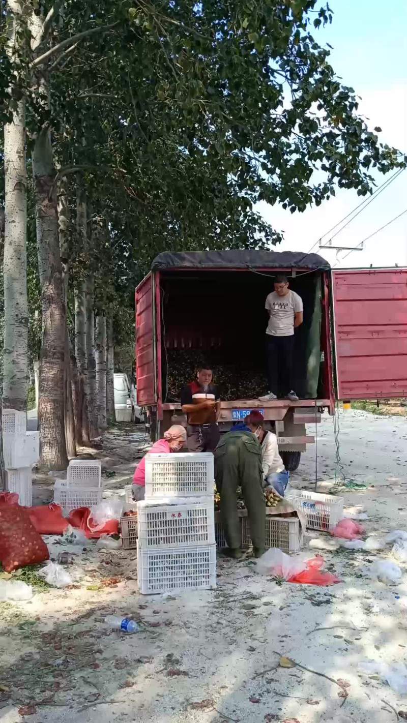 货原不多了10天左右