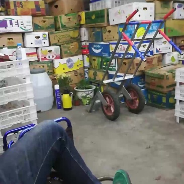 尖把梨！苹果梨！奥力给