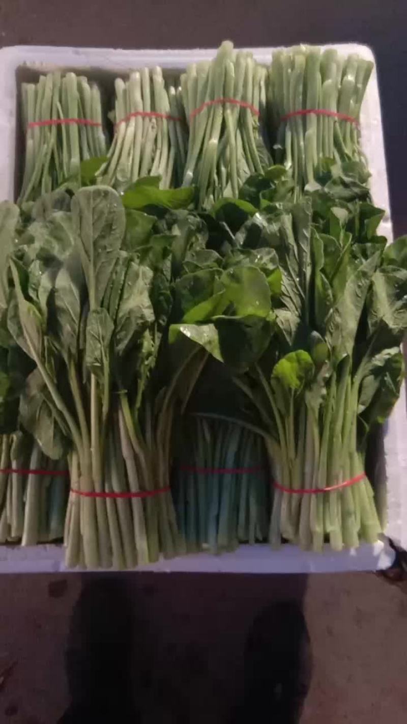 菜心