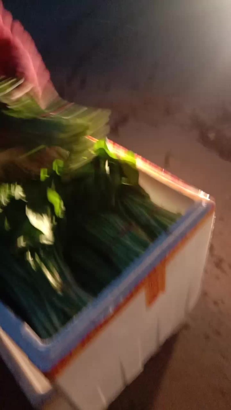 菜心