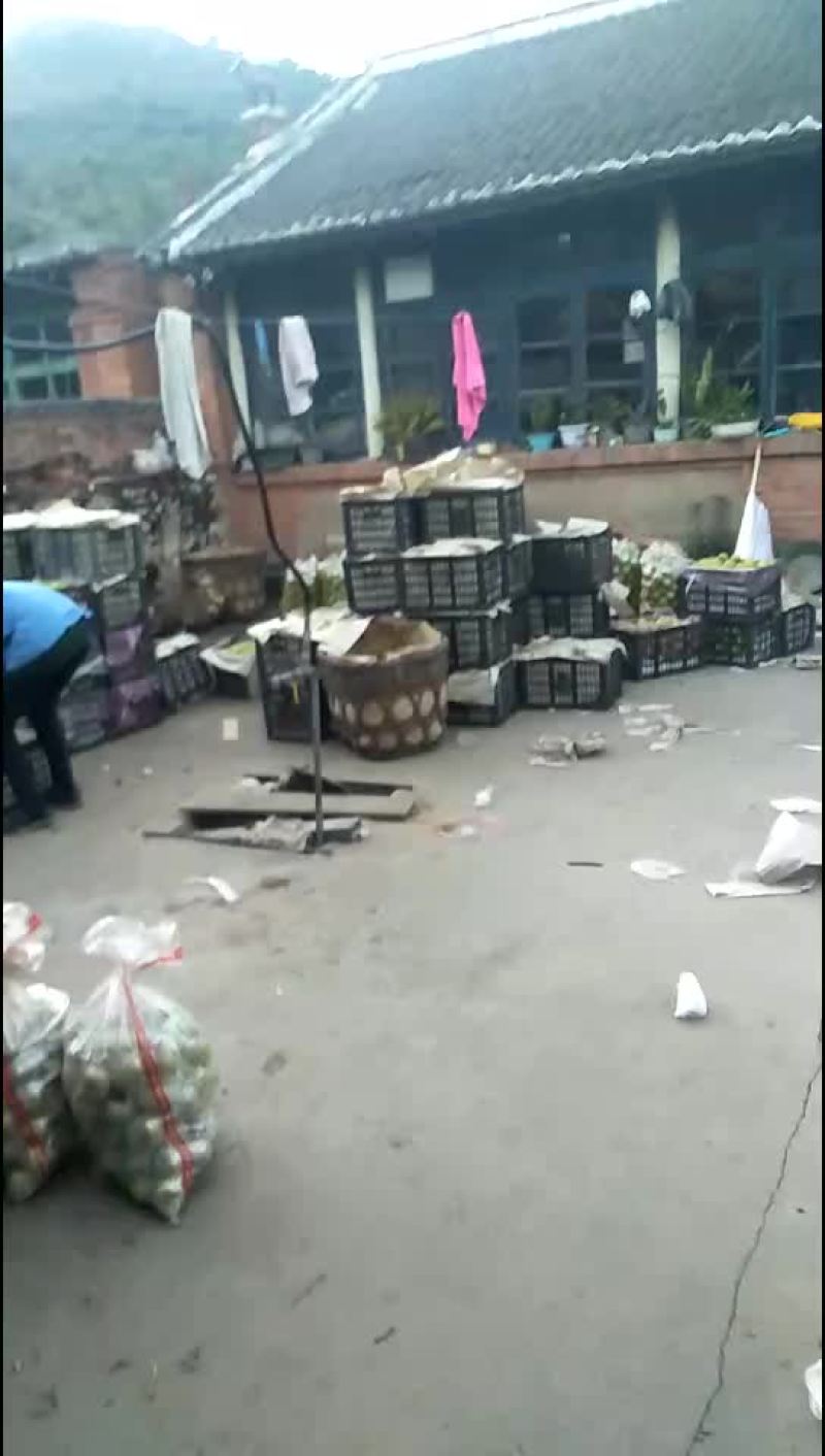 酸梨