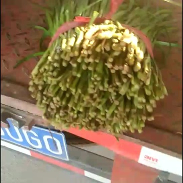 韭菜