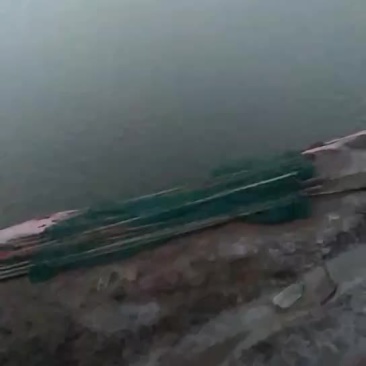 河虾青虾，