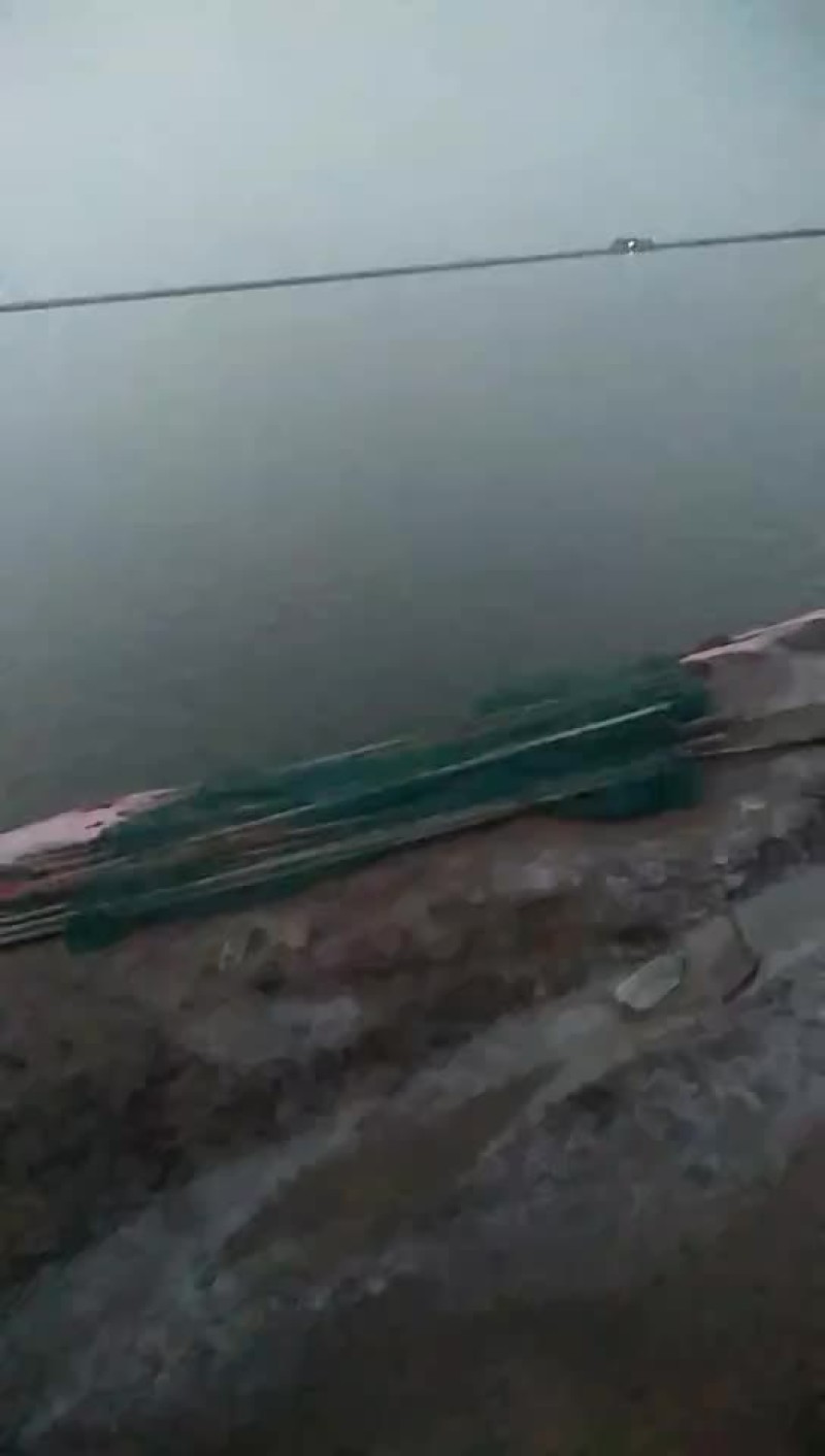 河虾青虾，