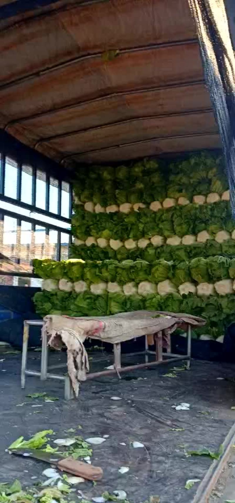 黄心白菜，产地直销，专供超市，