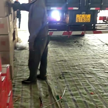 黑线椒