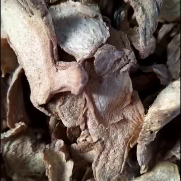 姜片