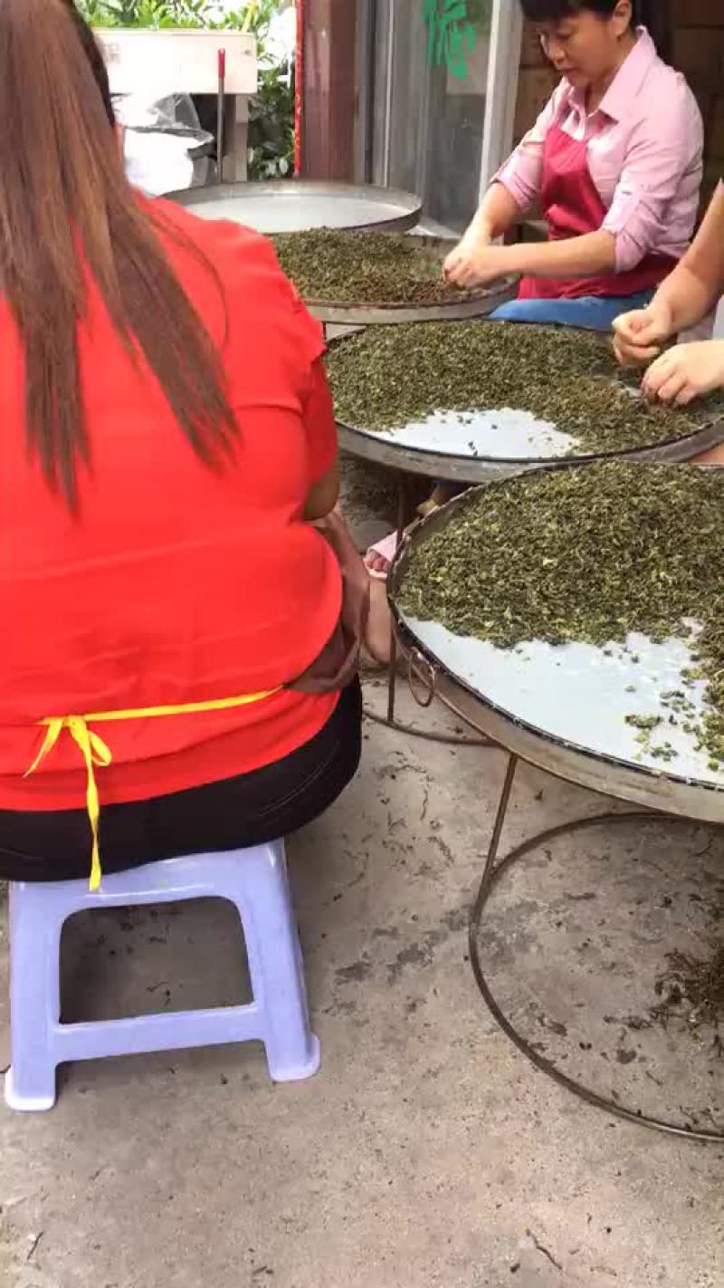 新茶铁观音