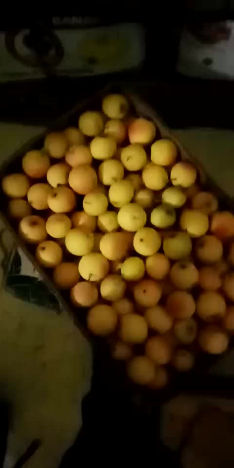 鞍山南果梨