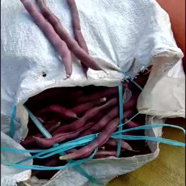 豆角