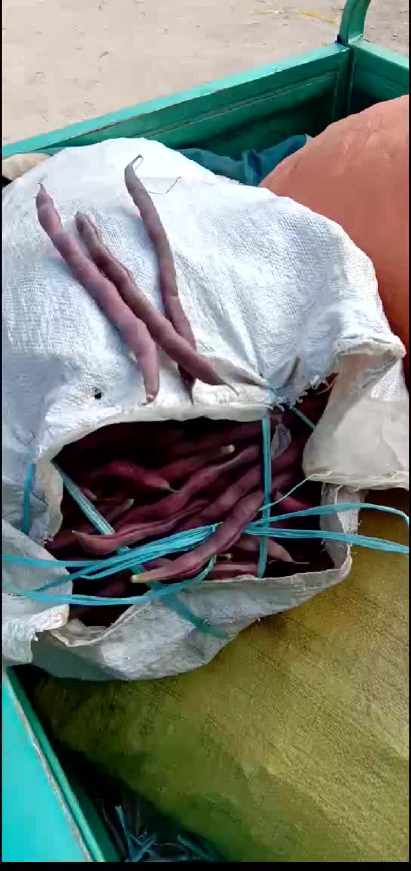 豆角