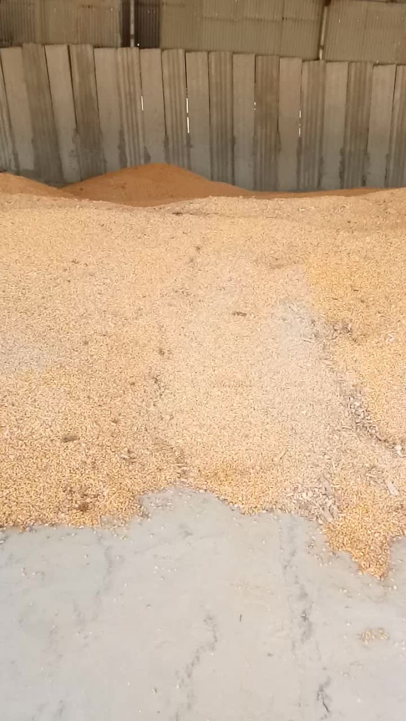 玉米芯轴