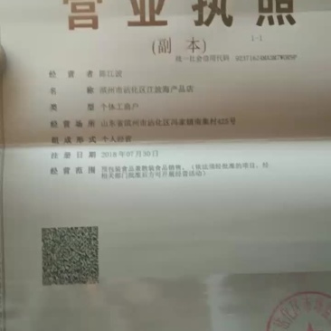 大量皮皮虾