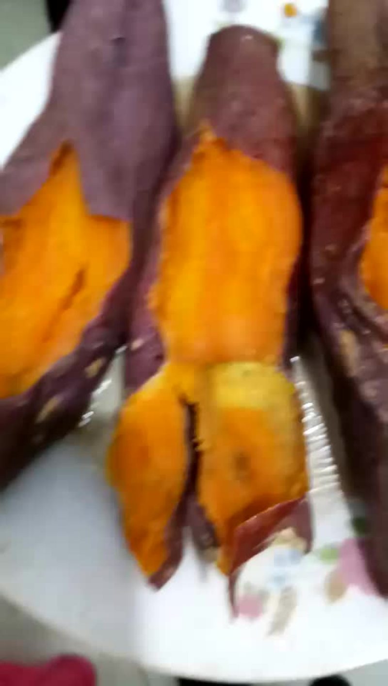 烟薯25