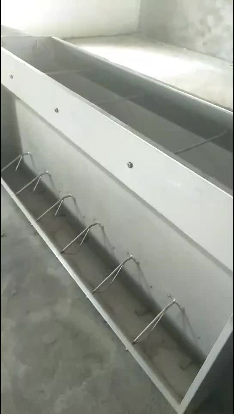 母猪