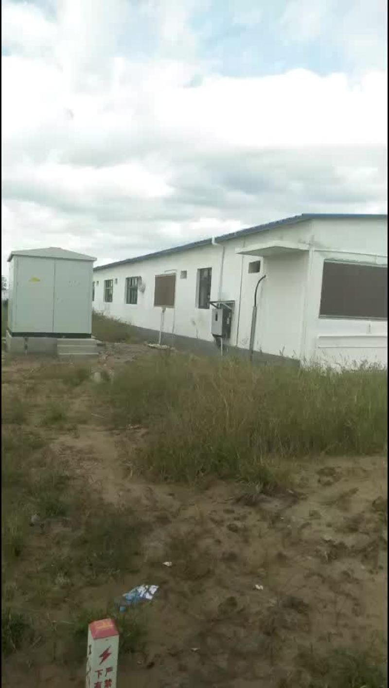 母猪