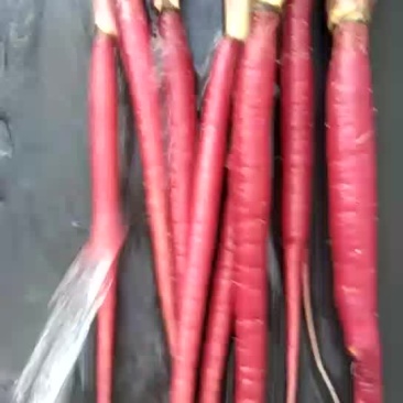 胡萝卜