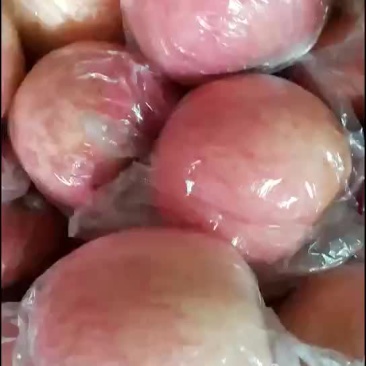 纸夹膜