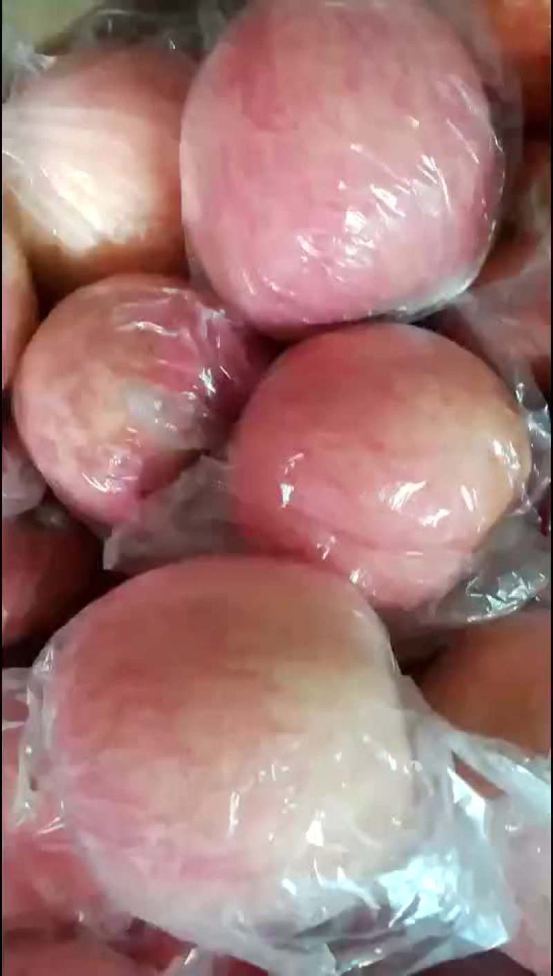 纸夹膜