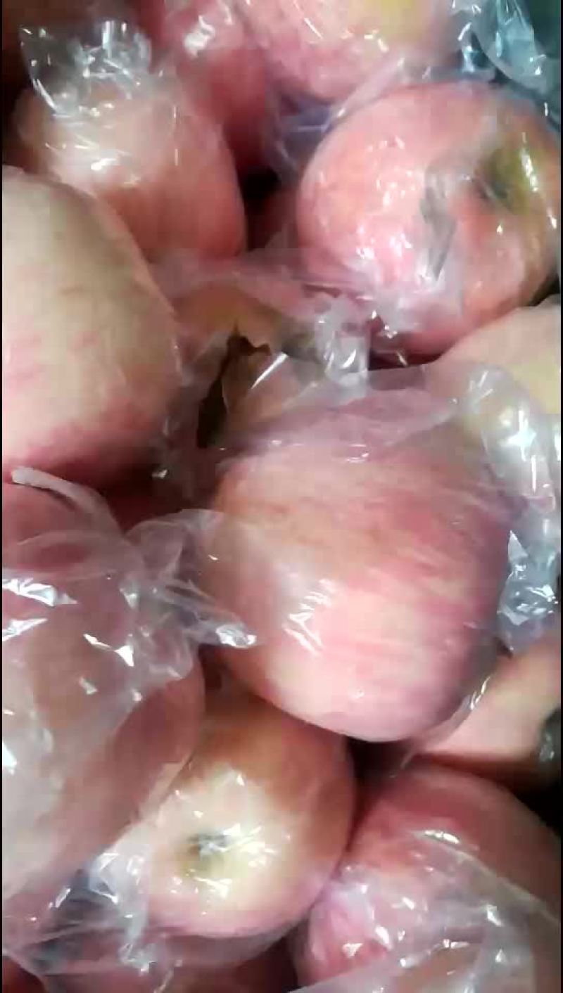纸夹膜