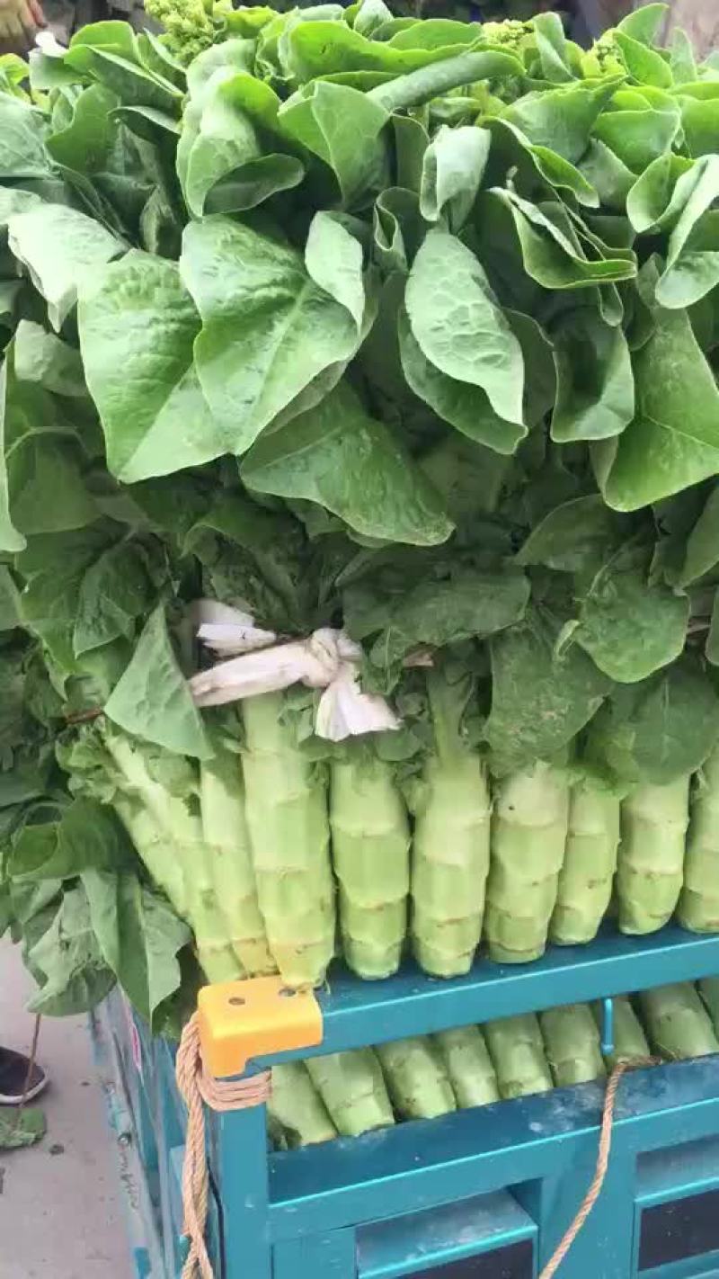 莴笋莴苣