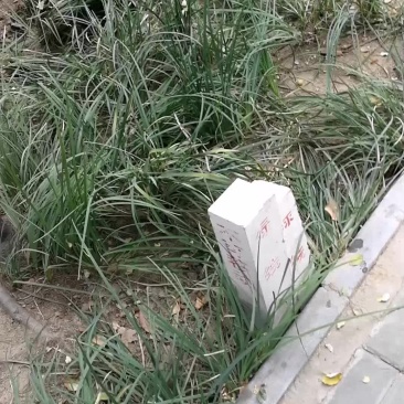 蜂蜜量大